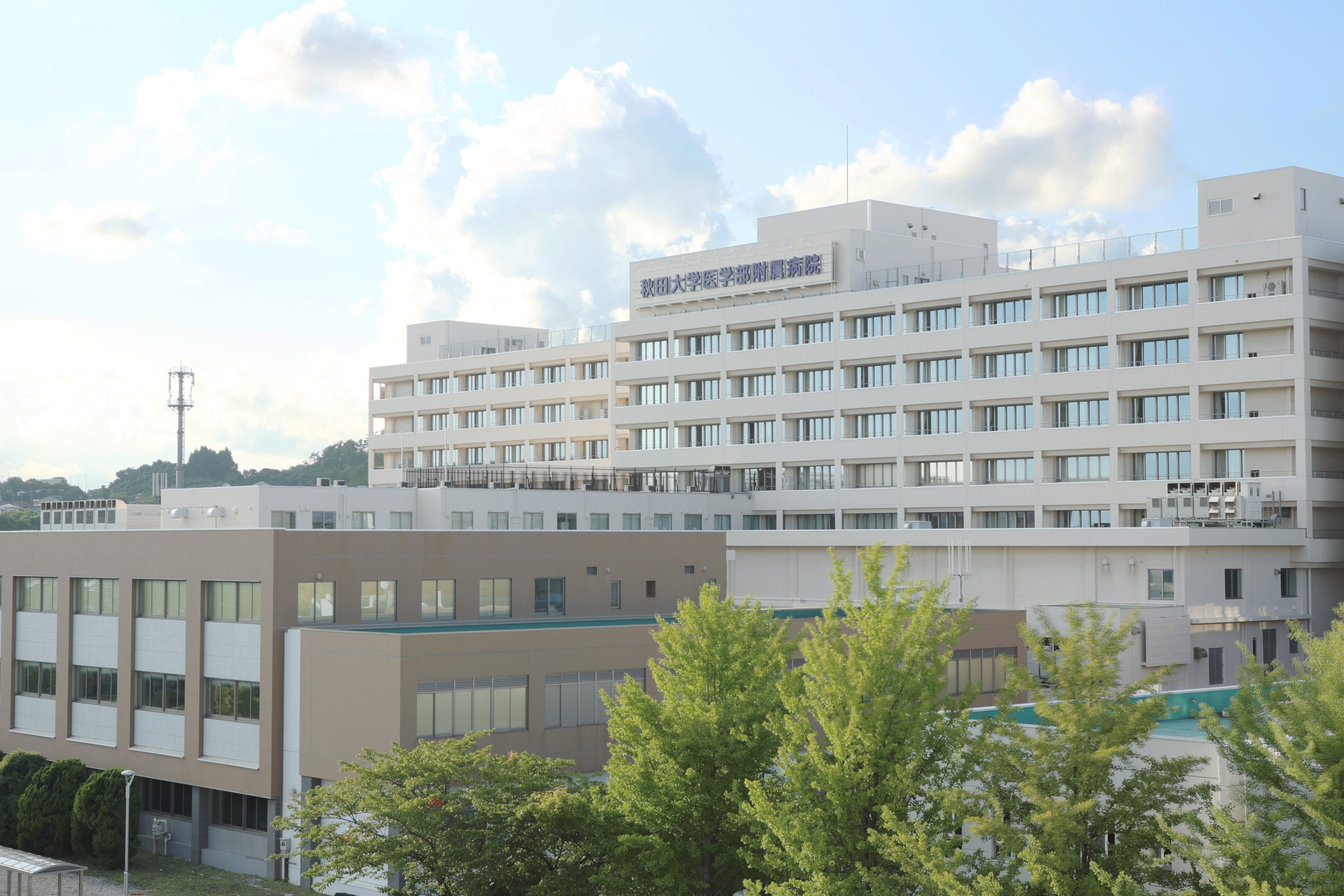 藤田医科大学（医療科学部・保健衛生学部） (2025年版大学赤本