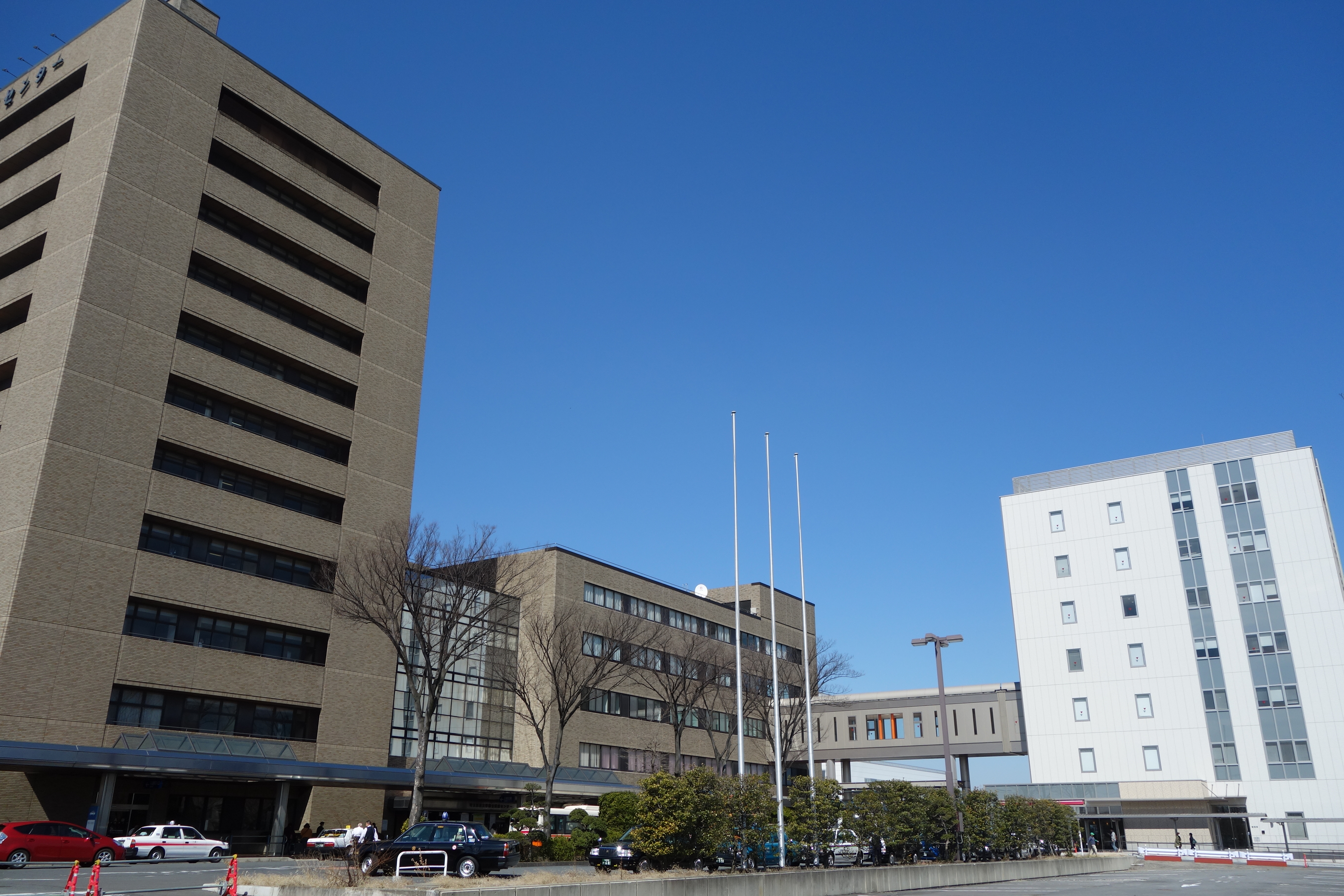 【上品】 学校法人埼玉医科大学 未来の | 埼玉医科大学総合医療センター 鍼・灸